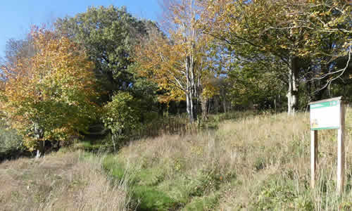 Wildlife Bank at Coleford Playing Field