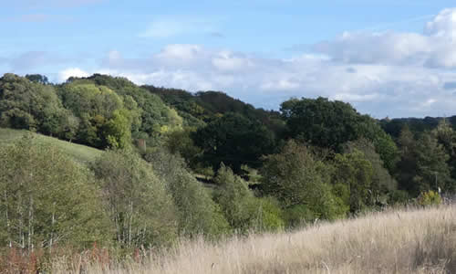 Countryside views from the canal, Coleford